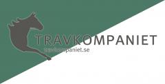 Travkomp-vimpel-low