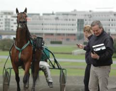 Anders på banan med Pasha.  Foto; A.Lindblom/Travkompaniet