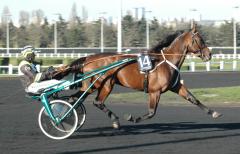 Så får Maharajah beträda Vincennes svarta bana igen där han trivs allra bäst. Foto; A.Lindblom/Travkompaniet