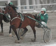 One-T-Many-Oolong-130207-1