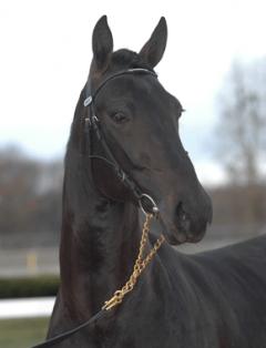 Panne1