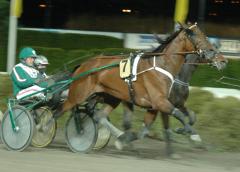 Random-Shot-131113-3