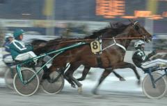 Maharajah i lördagens start. Foto; A.Lindblom/Travkompaniet