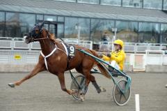 Venkatesh och Örjan Kihlström är streckvärda i V75-2 enligt tränaren Stefan Hultman.                    	            	        	                   		                             Foto av Martin Langels/ALN