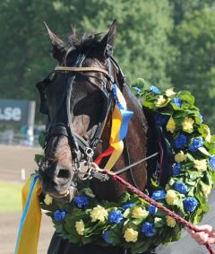 Beckman är klar för start i Copenhagen Cup.                    	            	        	                   		                             Foto av CLAES KÄRRSTRAND