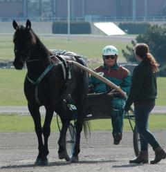 Panne De Moteur, Stefan Hultman och Mette Robach-Bonde är laddade inför Elitloppet.