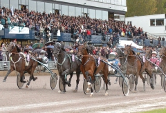 Varvet från mål i Kriteriefinalen var det dags för Maharajah att kliva in i matchen. Han syns längst ut i tredjespår på väg fram. Foto; C.Kärrstrand