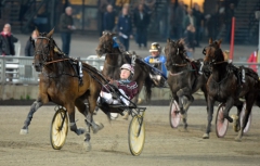 Samuel Rehn med British Steel, en stjärna lånad av Halmstadproffset Marcus Lindgren.  Foto av MARTIN LANGELS