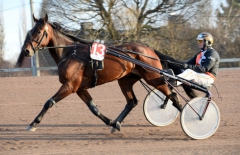 Foto av MALIN ALBINSSON