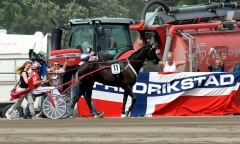 B.B.S.Sugarlight är en av många norsktränade hästar inom V75-spelet på Åby. Foto av Lars Jakobsson