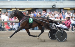 Mosaique Face och Lutfi Kolgjini startar i Olympiatravet. Foto av LARS JAKOBSSON