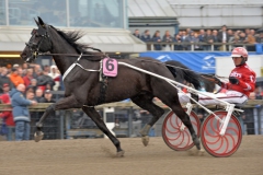 På söndag kan B.B.S.Sugarlight ta Norges första seger i Elitloppet sedan Steinlager 2005. Foto av Kanal 75