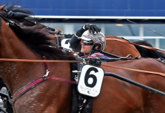 Adrian Kolgjini tar sig för pannan sedan han styrt in Dante Boko till seger i Sweden Cup på Solvalla. Foto av LARS JAKOBSSON