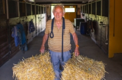 Ingvar Olsson, 96, är Sveriges äldsta hästskötare. Foto av Thomas Engström