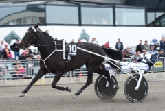 Emelie Perssons Tro Lo Lo är klar för final i Stochampionatet. Foto av Kanal 75
