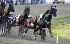 B.B.S.Sugarlight vann gulddivisionen på Hagmyren. Foto av Micke Gustafsson/Foto-Mike