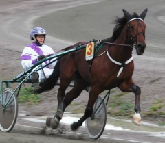 Piloten