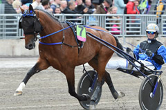 TIMOKO