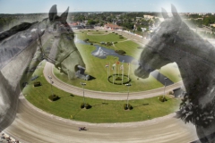 Hedershästar begravda på Solvalla. Hästar begravda på Solvallas innerplan. Red Bon (vänster) och The Senator Indiana. Foto av Kanal 75