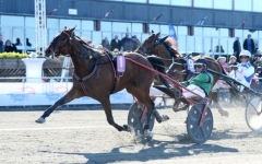 Peter Untersteiners taktik funkade klockrent när Julia af Solnäs slog till hemma i Halmstad. Foto av MALIN ALBINSSON