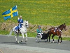 Marreinvigning