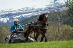 Lannem Silje tillsammans med sin tränare Ola M Skrugstad. Foto av Rolf Henning Pedersen/Ecuus