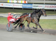 Ultimate Wine vinner för Peter Untersteiner i karriärens näst sista start. Foto av Kanal 75