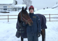 Oscar Berglunds nya stjärna i stallet heter Hope And Dreams. Foto av Privat