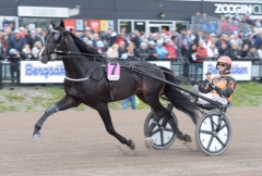 Workout Wonder sig ett steg närmare Solvalla när han vann Helsinki-Ajo. Foto av LARS JAKOBSSON