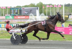 Propulsion är klar för Elitloppet. På söndagen fick tränaren Daniel Redén en inbjudan när Solvallas sportchef Anders Malmrot. Foto av LARS JAKOBSSON