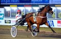 Felicity Shagwell imponerade i årsdebuten. Foto av MARTIN LANGELS/ALN