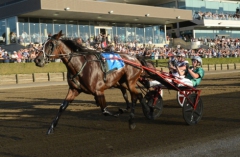 Maori Time från Australien är klar för Elitloppet på Solvalla 27 maj. Foto av Solvalla