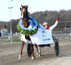 Fjolårsvinnaren Lionel N.O. drog nummer fem när startspåren till Olympiatravets final lottades på söndagen. Foto av MALIN ALBINSSON