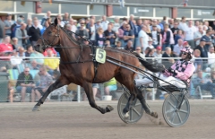 Robert Bergh är inte främmande för att Muscle Hustle kan dyka upp i Elitloppet. Foto av LARS JAKOBSSON