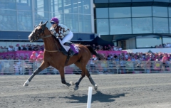 Be Mine de Houelle och Marie Bacsich vann Montéeliten i överlägsen stil. Foto: Lars Jakobsson TR Bild Foto av Lars Jakobsson, TR Bild