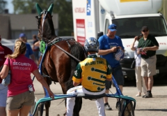 Todd McCarthy kör ute med Maori Time som galopperade bort sig kort efter start i elitloppsförsöket. Foto: Matilda Öhrman, TR Bild Foto av Matilda Öhrman, TR Bild