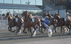 Trea i mål där bakom men Green Keeper U.S. och Örjan Kihlström fick segern på Solvalla då Björn Goop och Erik Adielsson galopperade med sina hästar över linjen. Foto: Lars Jakobsson, TR Bild  Foto av Lars Jakobsson, TR Bild