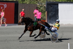 Maori Time under elitloppssöndagen med kusken Todd MacCarthy. Foto: Lena Emmoth, TR Bild Foto av Lena Emmoth, TR Bild