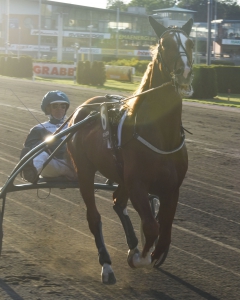 Alonegalopp