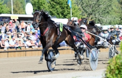 Charrua Forlan har förutsättningar att leda lördagens gulddivision från start till mål. Foto av Malin Albinsson/TR bild