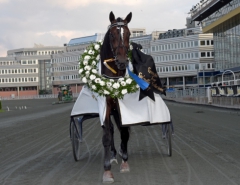 Timo Nurmos Villiam i segerdefilering efter fjolårets upplaga av Svenskt Travkriterium. Foto: Lars Jakobsson, TR Bild  Foto av Lars Jakobsson, TR Bild