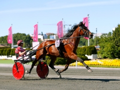 VM-aktuelle Pastore Bob och Johan Untersteiner i samband med starten i Elitloppet i våras. Foto: Maria Holmén, TR Bild  Foto av Maria Holmén, TR Bild