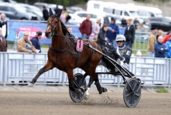 Twister Bi, här körd av Christoffer Eriksson. Foto: Micke Gustafsson, TR Bild  Foto av Micke Gustafsson, TR Bild