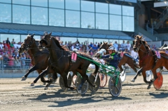 Årets elitloppsvinnare Ringostarr Treb är på onsdag tillbaka på banan när han går ut i V86. Foto av Maria Holmén/TR Bild