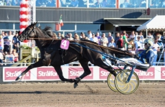 Nuncio och Stefan Melander. Foto av TR Bild