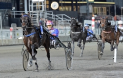 Belker stormar undan för Torbjörn Jansson på Solvalla. Foto: Lars Jakobsson, TR Bild Foto av Lars Jakobsson, TR Bild