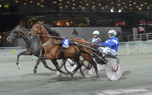 Finalister i Svensk Uppfödningslöpning. Global Adventure håller undan på målfoto före stallkamraten Alien Kronos. Foto av Lars Jakobsson, TR Bild