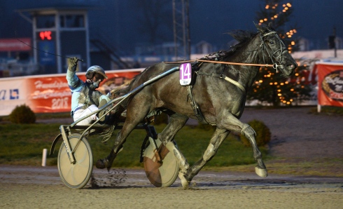 Senast vann han på V75. På onsdagen kan Ibelieveinamerica få jackpotmiljonerna att rulla på V86. Foto av Malin Albinsson/TR Bild