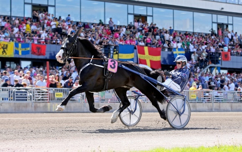 Tekno Odin. Foto av Mia Törnberg TR Bild