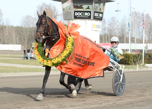 Perfect Spirit har inlett året strålande och vann som storfavorit på V75 på långfredagen. Foto av Malin Albinsson TR Bild